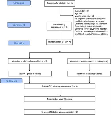 Does Integrating Cognitive and Psychological Interventions Enhance Wellbeing After Acquired Brain Injury? Study Protocol for a Phase II Randomized Controlled Trial of the VaLiANT (Valued Living After Neurological Trauma) Group Program